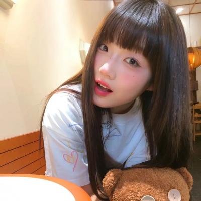 森林之北